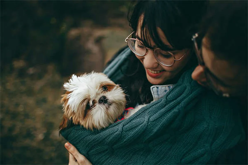 O que é Ascite em Cães? Sintomas, Causas e Tratamento